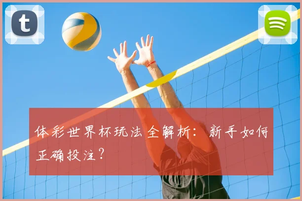 体彩世界杯玩法全解析：新手如何正确投注？