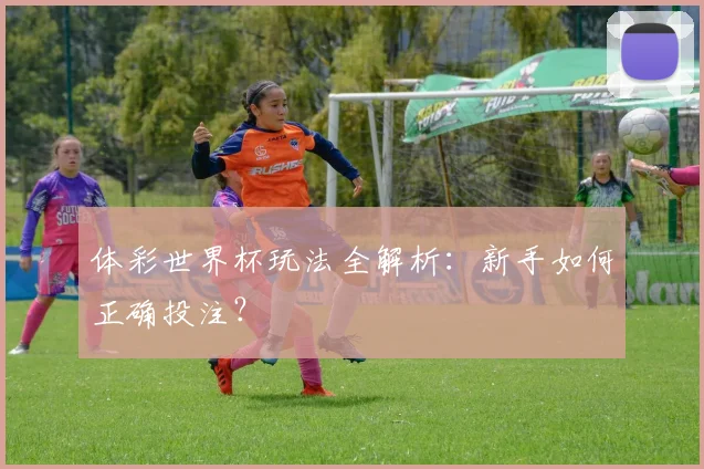 体彩世界杯玩法全解析：新手如何正确投注？