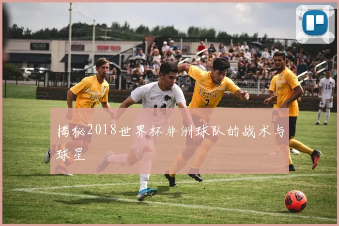 揭秘2018世界杯非洲球队的战术与球星